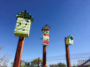 bird houses