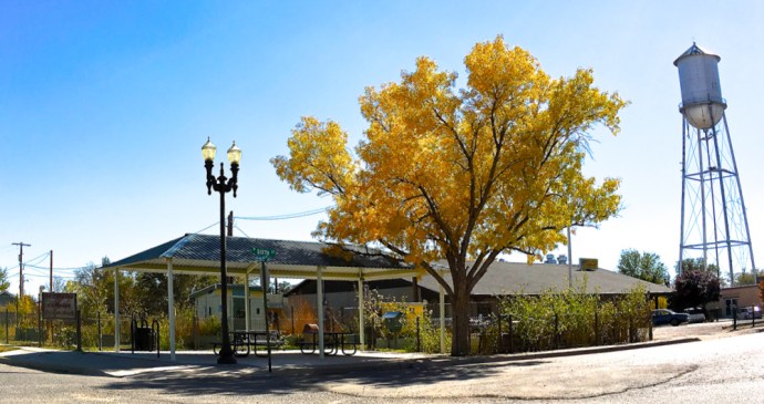community garden from across the way