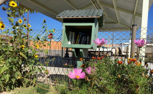 free lending library 1