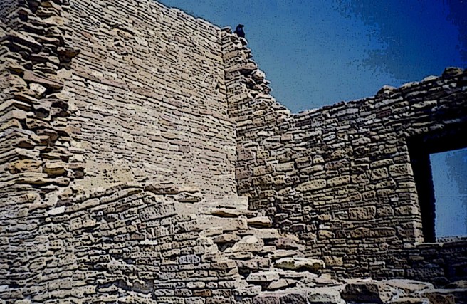 Chaco Canyon raven