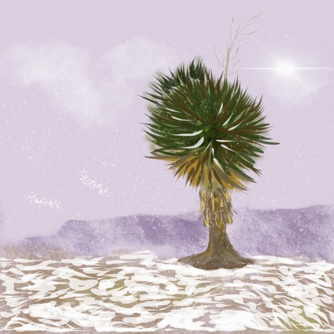 Yucca in snow sm_1024