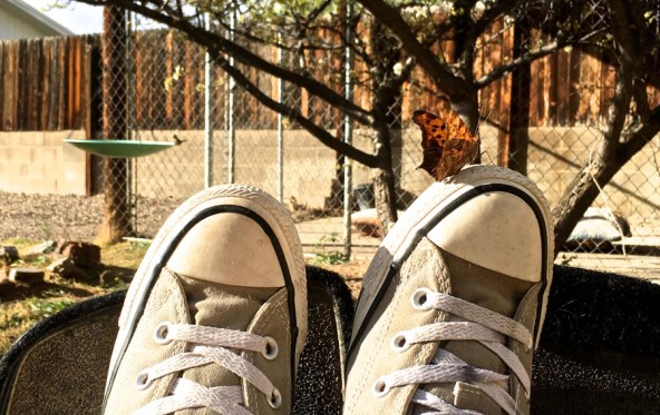 comma butterfly on my toes 2