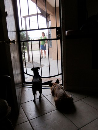 Elf and Opus saying goodbye to Jericha