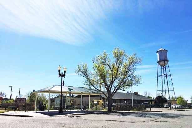 community garden - spring