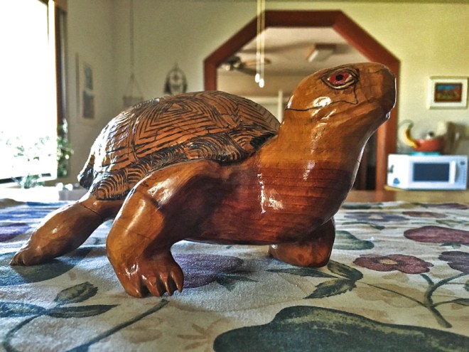 turtle's awkward stance