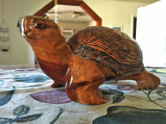 turtle's twisted leg