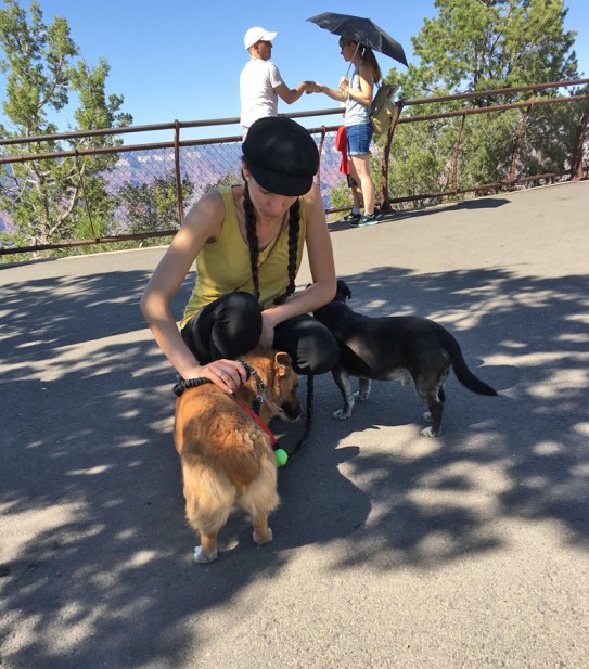 Grand Canyon dogs 2