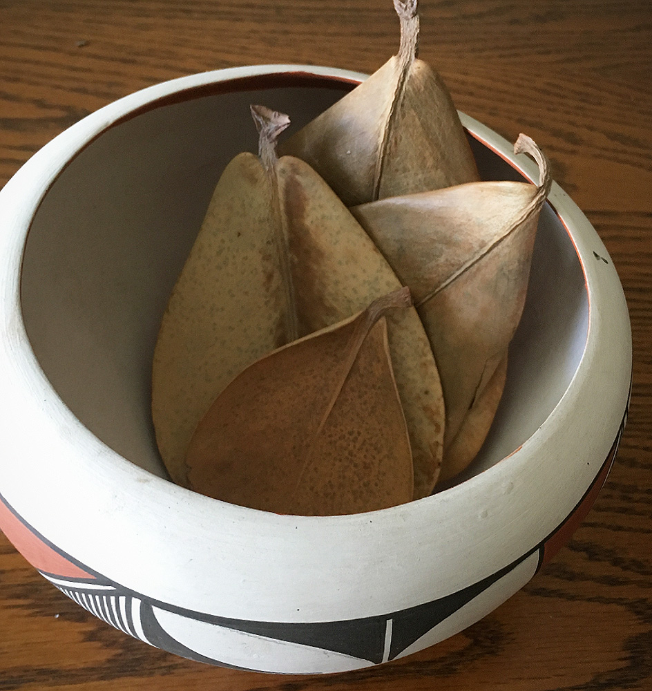 abeyta-pot-with-oahu-leaves