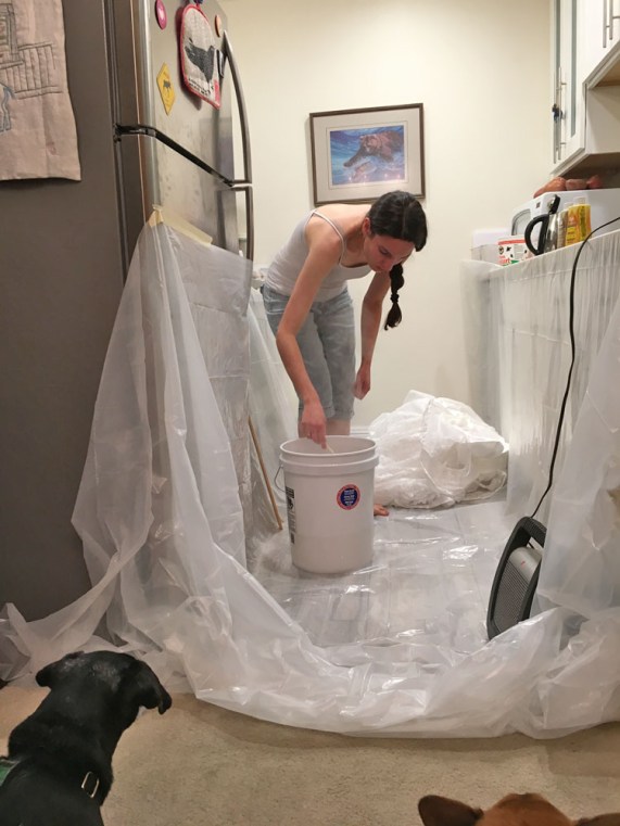 jericha-begins-dress-dying