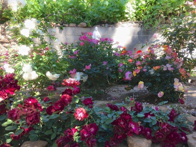 underground rose garden